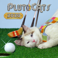 PlutoCats